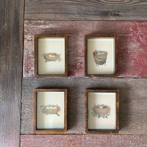 Adorable Nest Vintage Art Print Collection / Boho Wall Art / Retro Home Decor